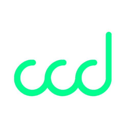 common city development
